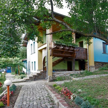 Chuchi Guest House 1 Zlatna Panega Exterior photo