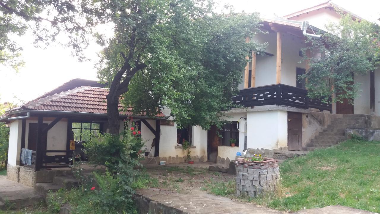 Chuchi Guest House 1 Zlatna Panega Exterior photo
