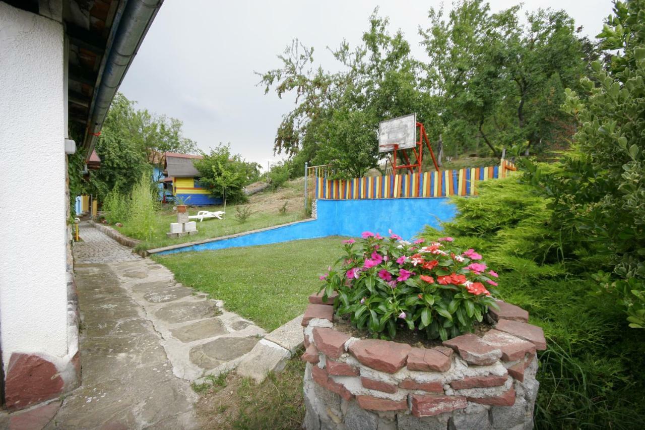 Chuchi Guest House 1 Zlatna Panega Exterior photo