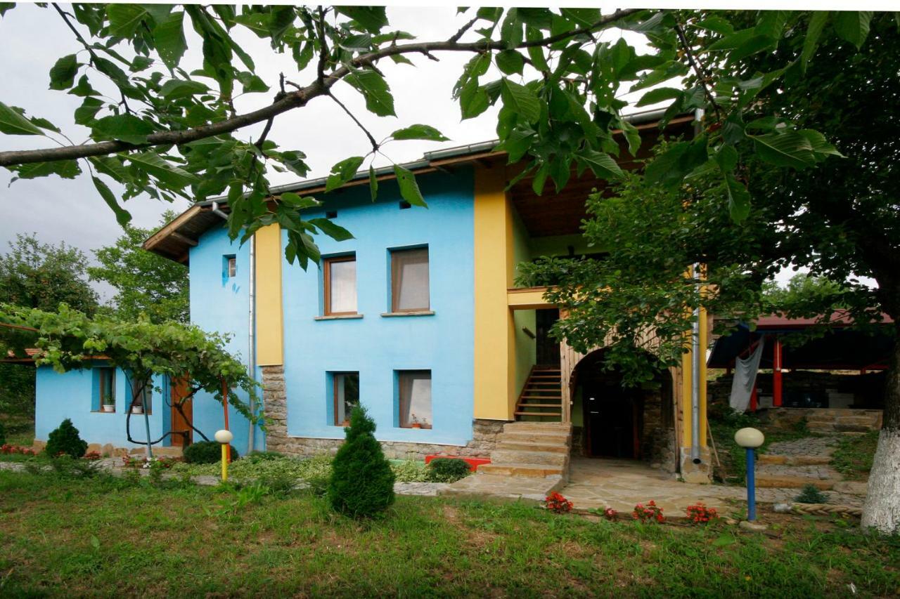 Chuchi Guest House 1 Zlatna Panega Exterior photo