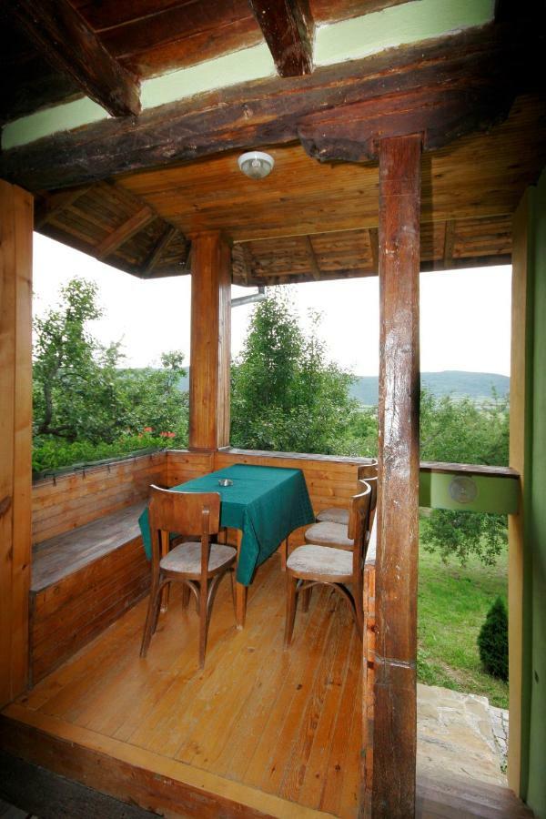 Chuchi Guest House 1 Zlatna Panega Exterior photo