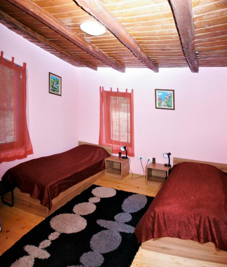 Chuchi Guest House 1 Zlatna Panega Exterior photo