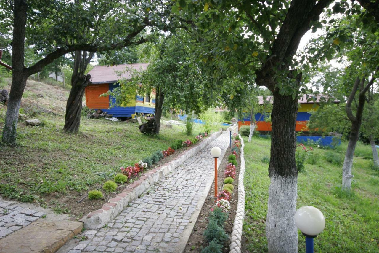 Chuchi Guest House 1 Zlatna Panega Exterior photo